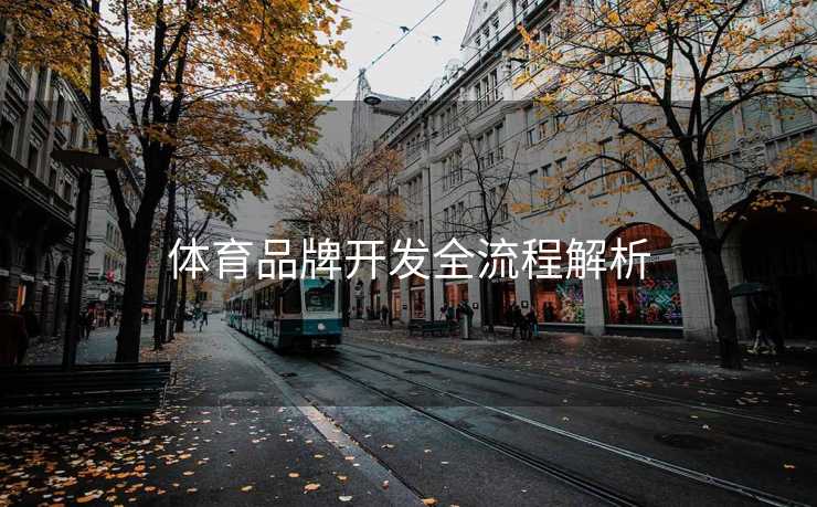 体育品牌开发全流程解析