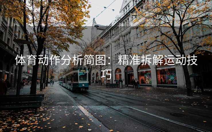 体育动作分析简图：精准拆解运动技巧